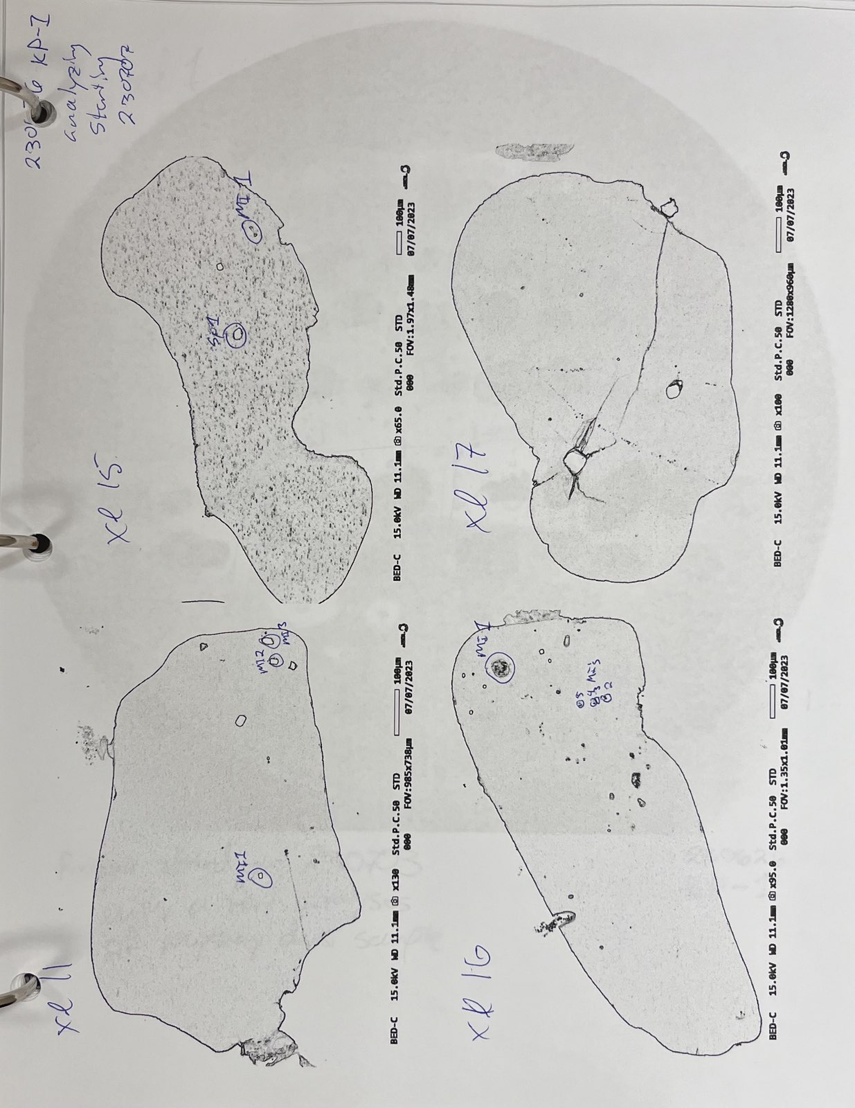 Igneous samples