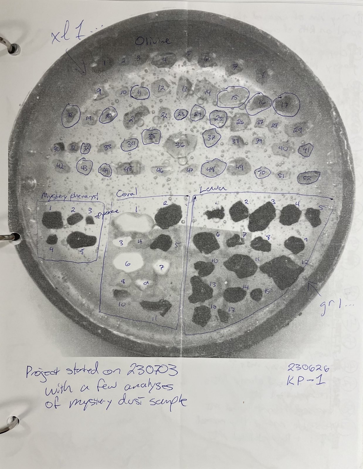 Igneous samples